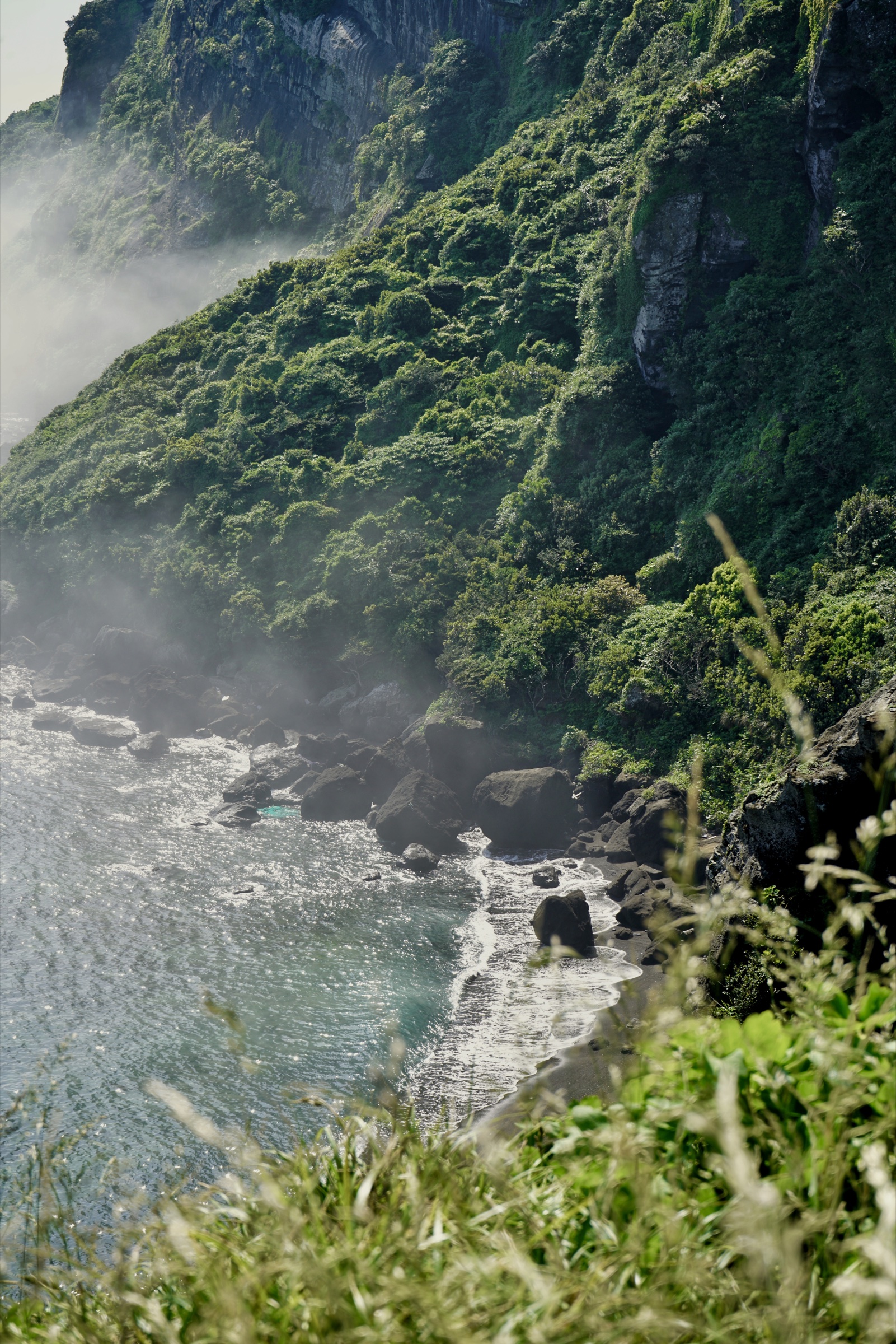 A misty, forested cliff descending toward a rocky coastline